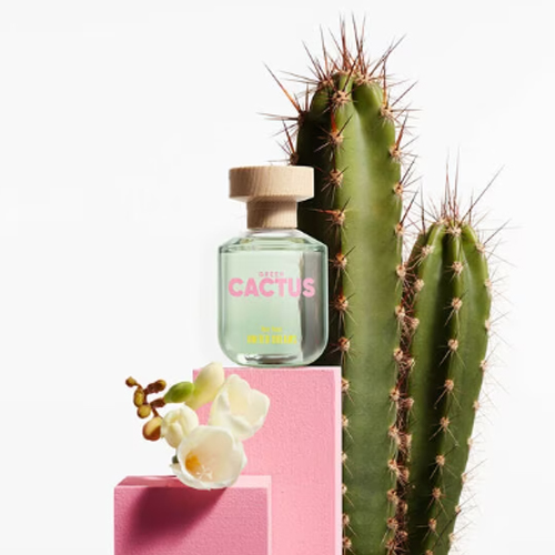 United Colors Of Benetton Green Cactus For Her Feminino Eau de Toilette