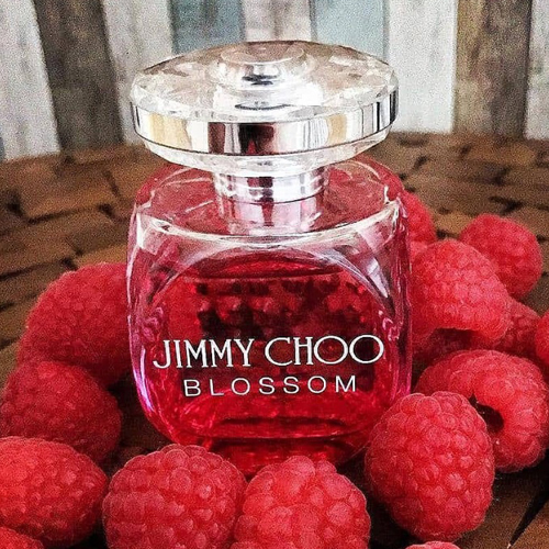 Jimmy Choo Blossom Feminino Eau de Parfum