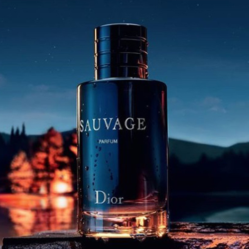 Dior Sauvage Masculino Parfum