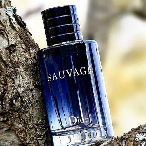 Dior Sauvage Masculino Eau de Toilette