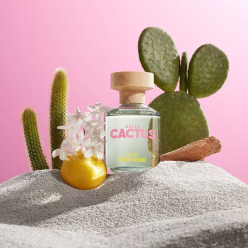 United Colors Of Benetton Green Cactus For Her Feminino Eau de Toilette