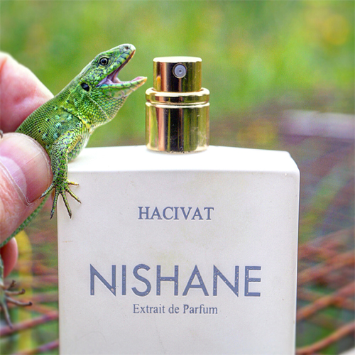 Nishane Hacivat Unisex Extrait de Parfum