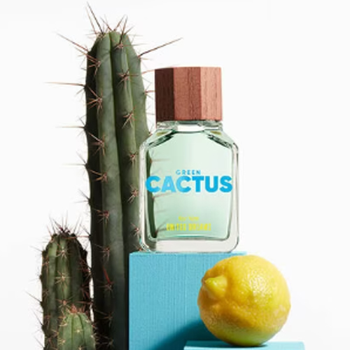 United Colors Of Benetton Green Cactus For Him Masculino Eau de Toilette