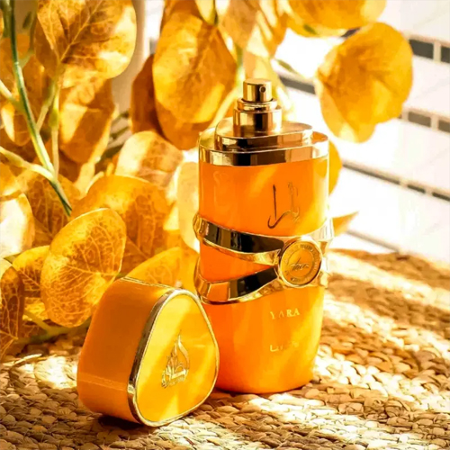 Lattafa Yara Tous Feminino Eau de Parfum Lattafa Yara Tous Feminino Eau de Parfum