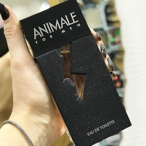 Animale For Men Masculino Eau de Toilette