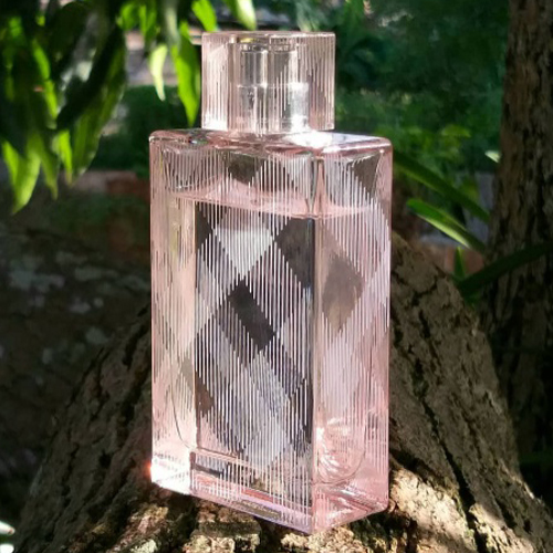 Burberry Brit Sheer Feminino Eau de Toilette