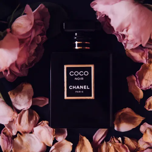 Chanel Coco Noir Feminino Eau de Parfum