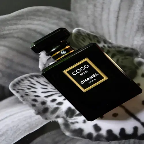 Chanel Coco Noir Feminino Eau de Parfum