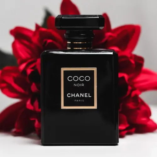 Chanel Coco Noir Feminino Eau de Parfum