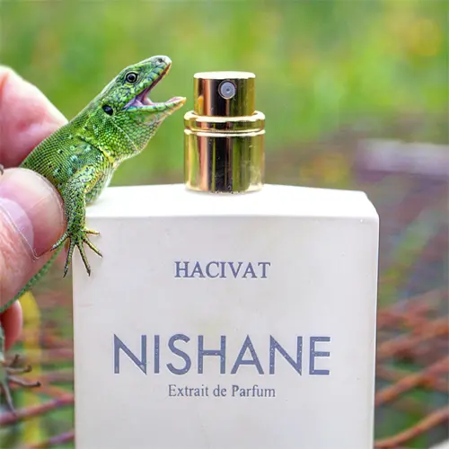 Nishane Hacivat Unisex Extrait de Parfum