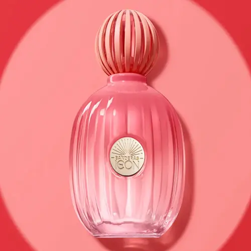 Antonio Banderas The Icon Splendid Feminino Eau de Parfum