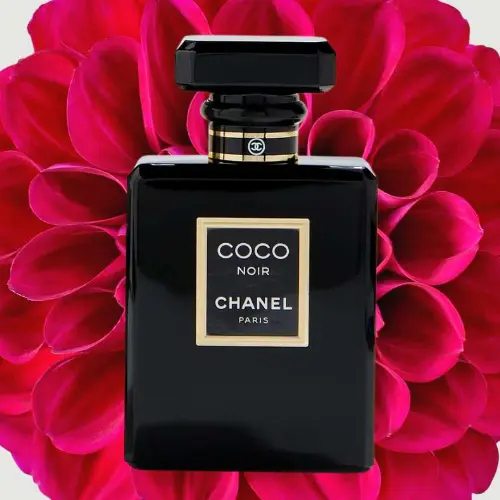Chanel Coco Noir Feminino Eau de Parfum
